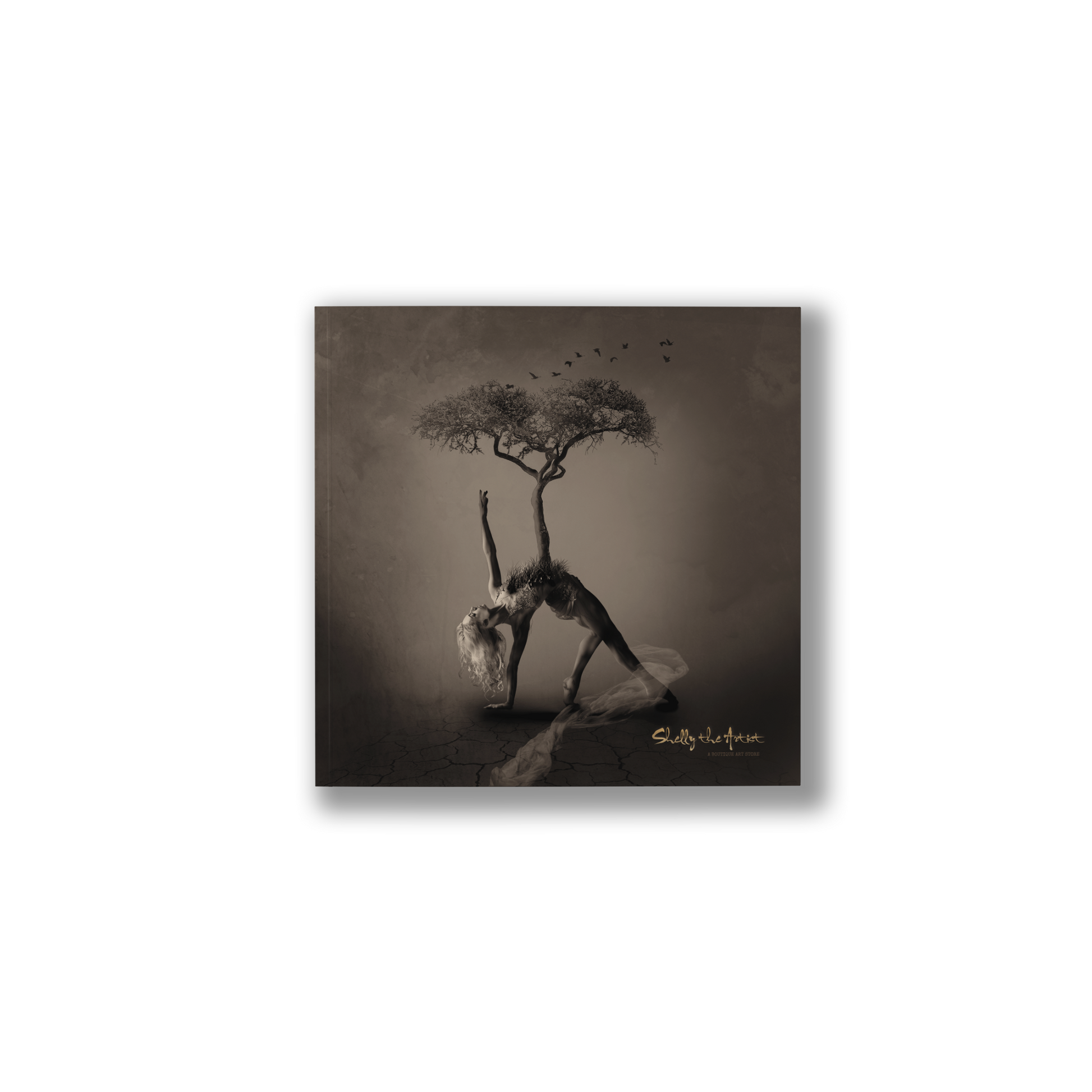 Burden (Healing Collection) - Poster image 0